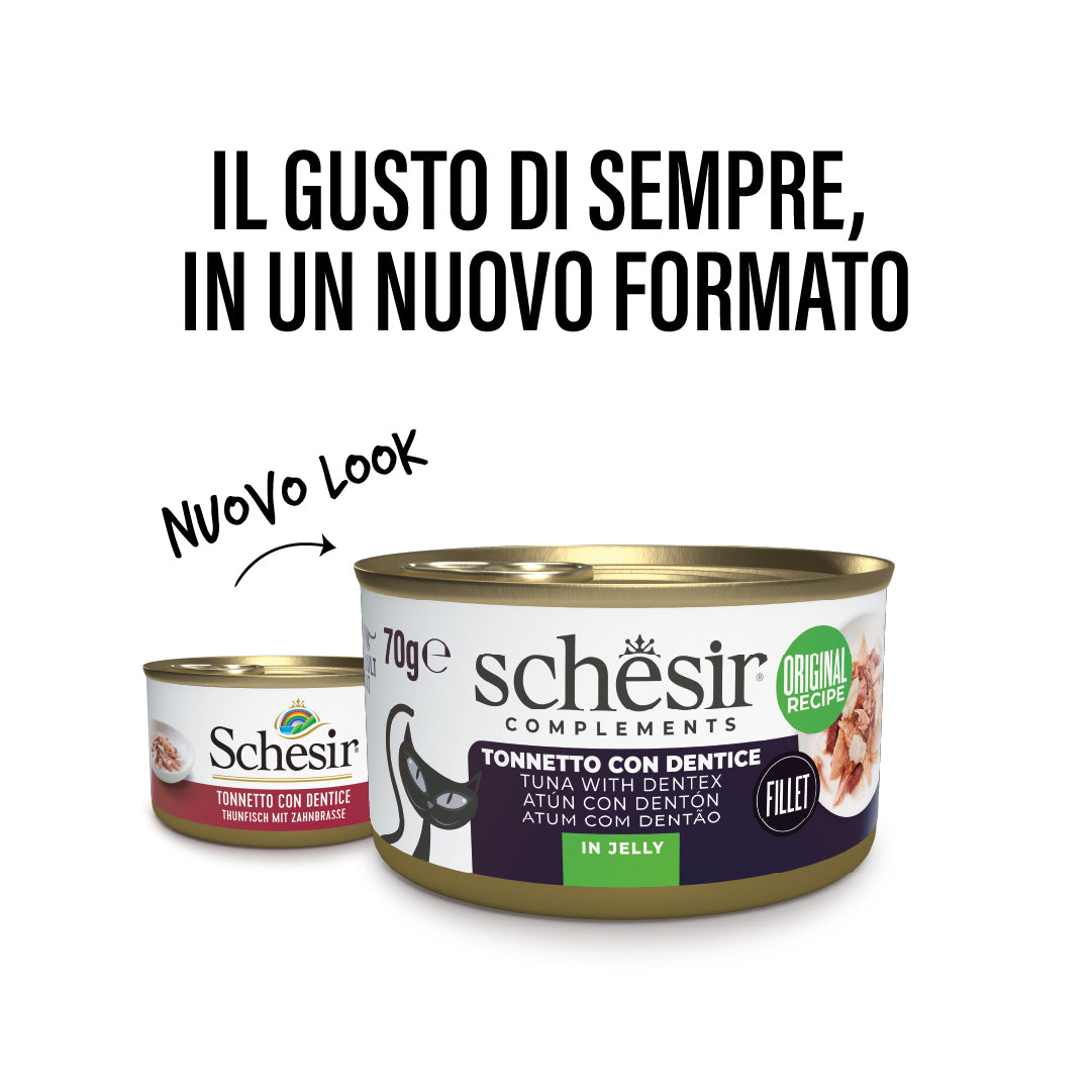 Tonnetto con dentice in gelatina