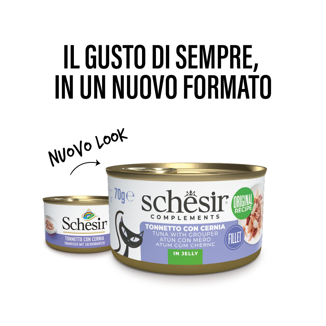 Tonnetto con cernia in gelatina