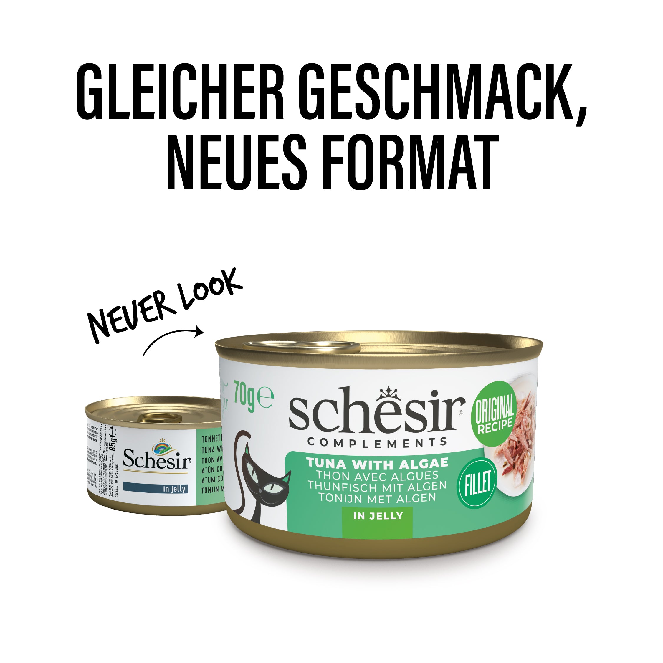 Thunfisch mit Seetang in Gelee