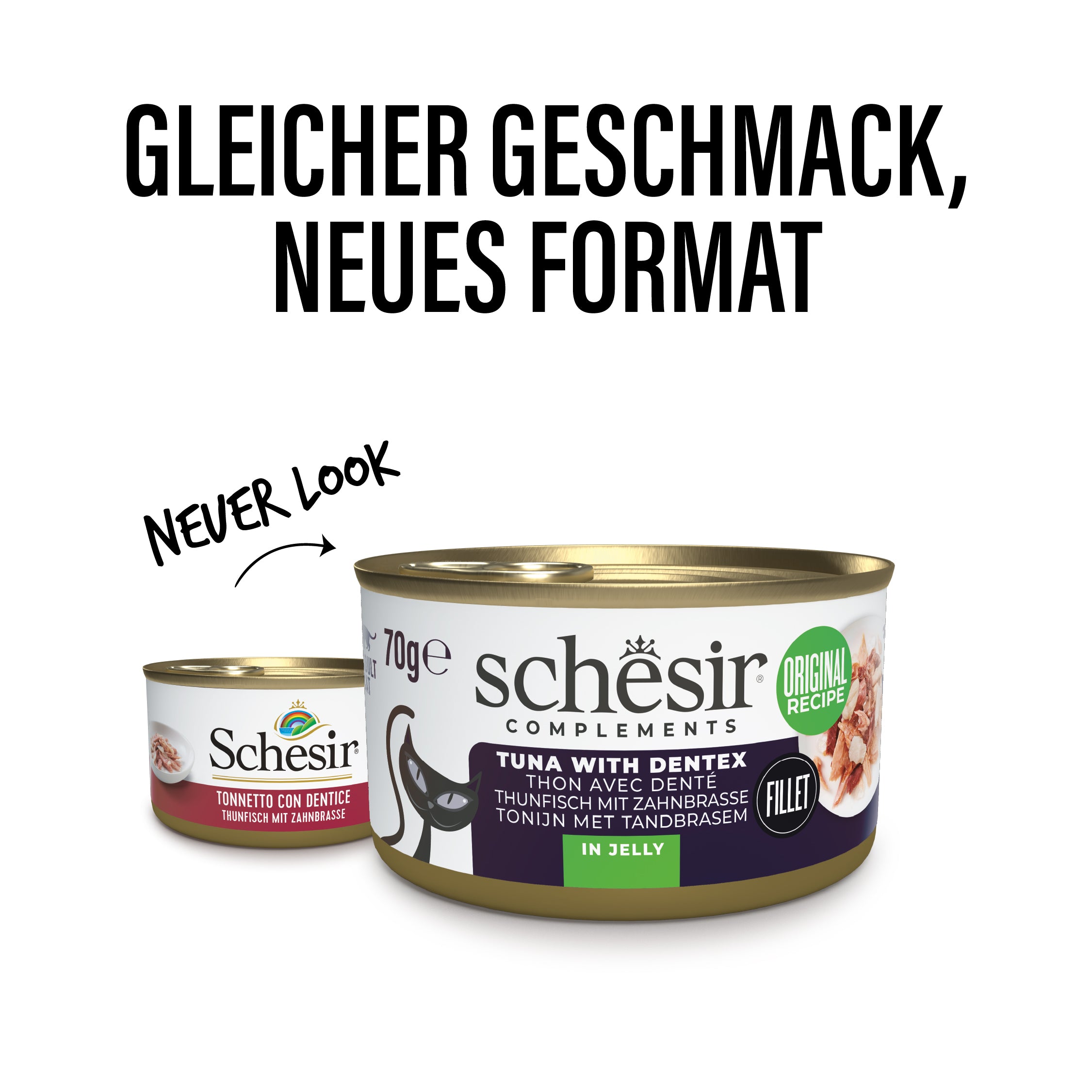 Thunfisch mit Zahnbrasse in Gelee