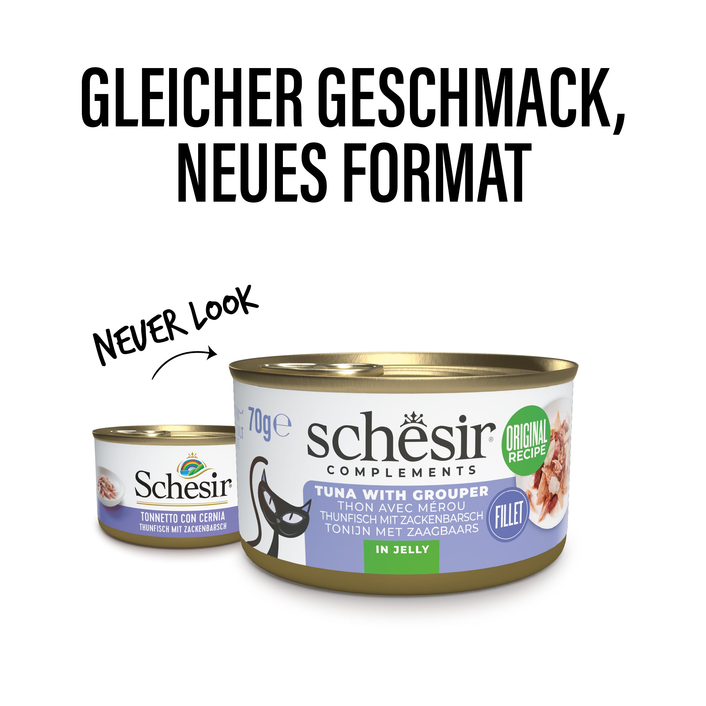 Thunfisch mit Zackenbarsch in Gelee