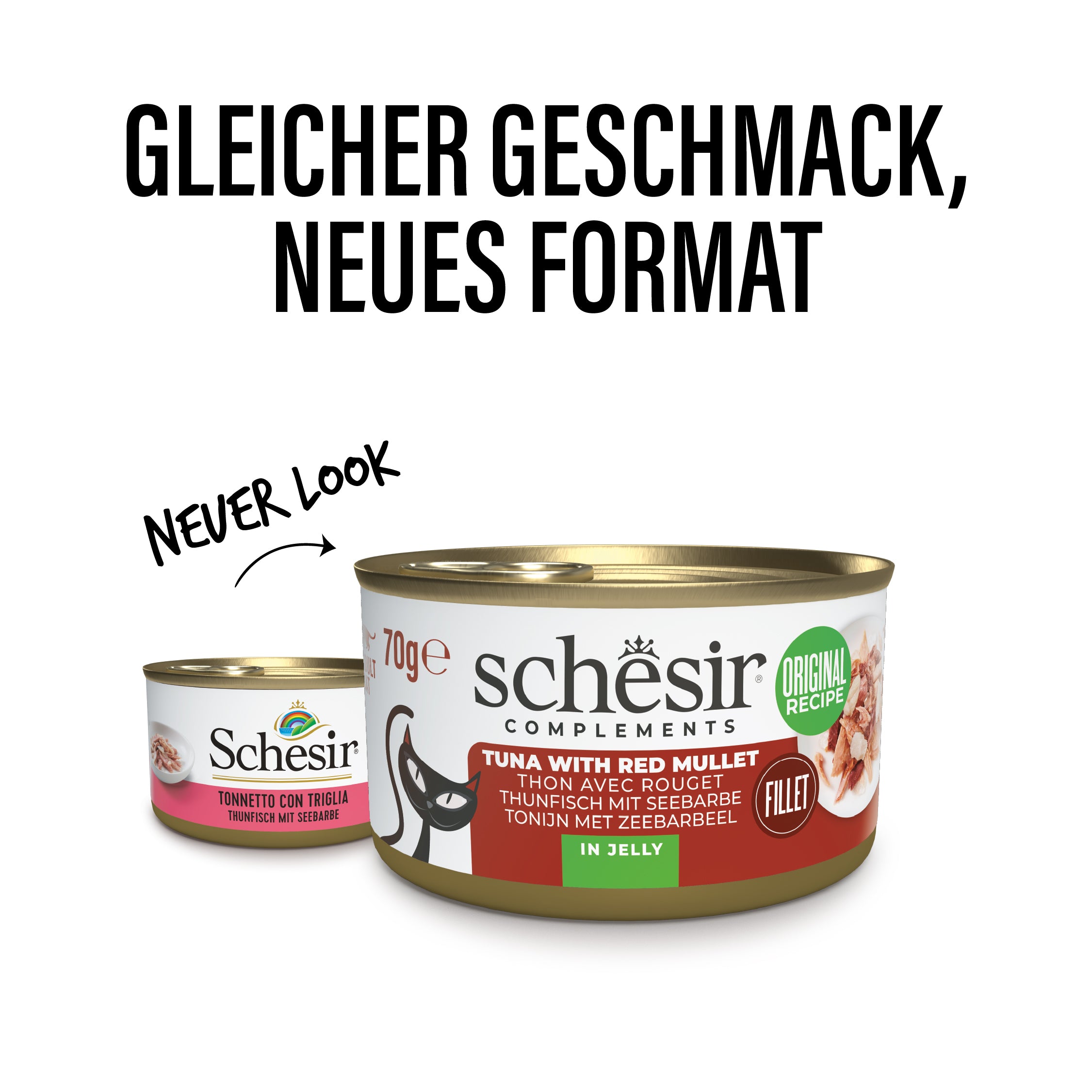Thunfisch mit Seebarbe in Gelee