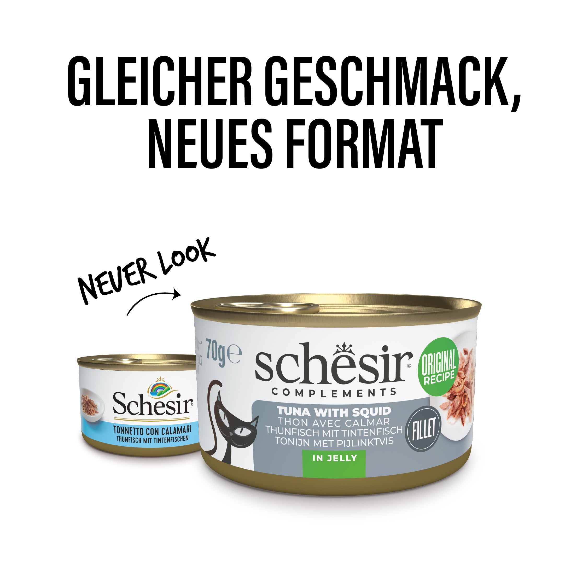 Thunfisch mit Kalmar in Gelee