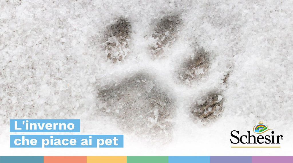 L'inverno che piace ai pet