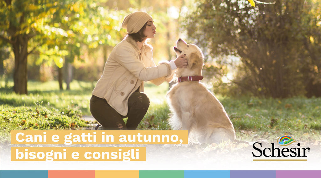 Cani e gatti in autunno: bisogni e consigli