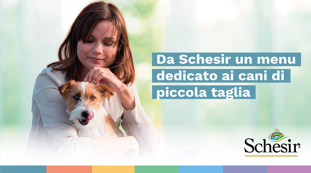Da Schesir un menu dedicato ai cani di piccola taglia.