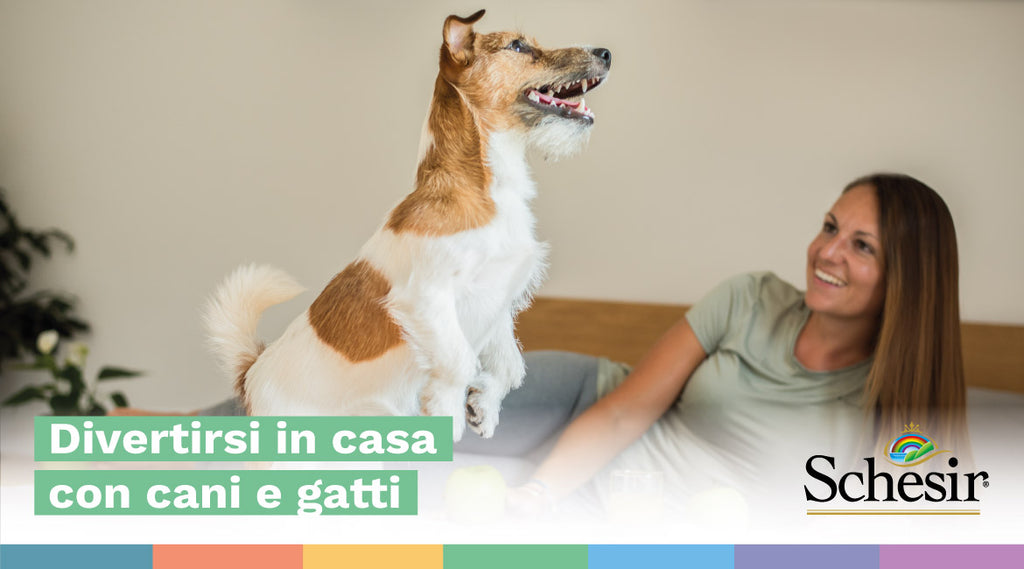 Divertirsi in casa con cani e gatti