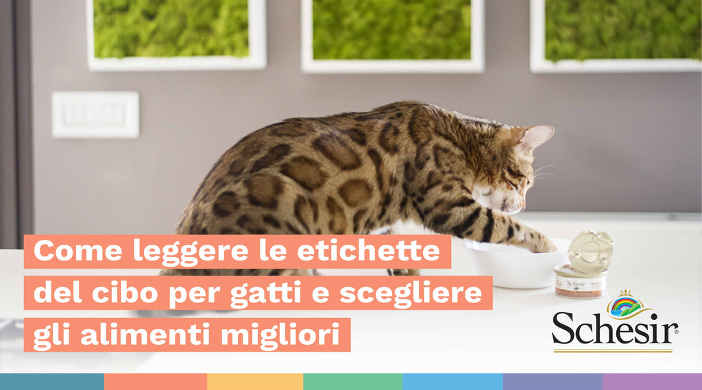 Come leggere le etichette del cibo per gatti e scegliere gli alimenti migliori