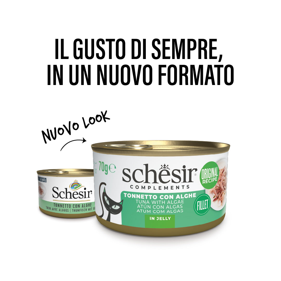 Tonnetto con alghe in gelatina