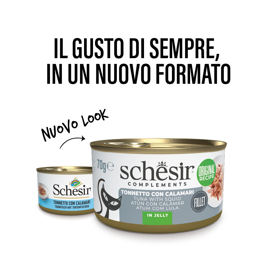 Tonnetto con calamari in gelatina