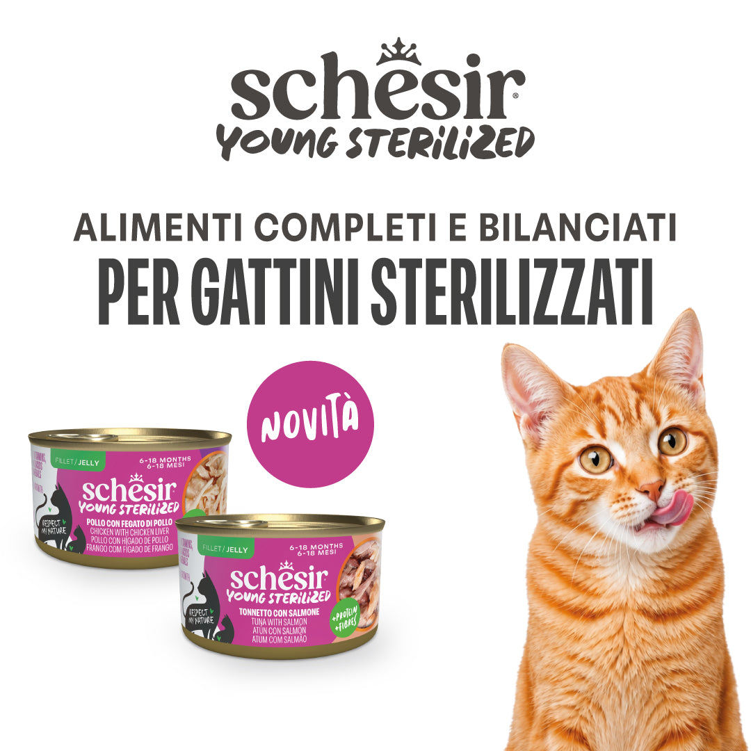 Young Sterilized pollo e fegato di pollo in gelatina 85g