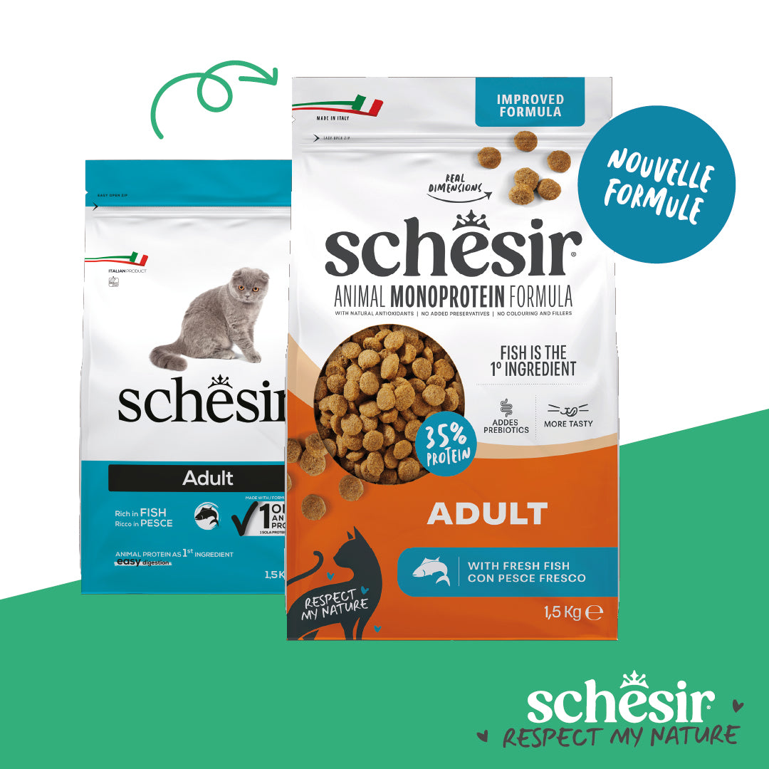 Poisson Adulte 1,5 kg