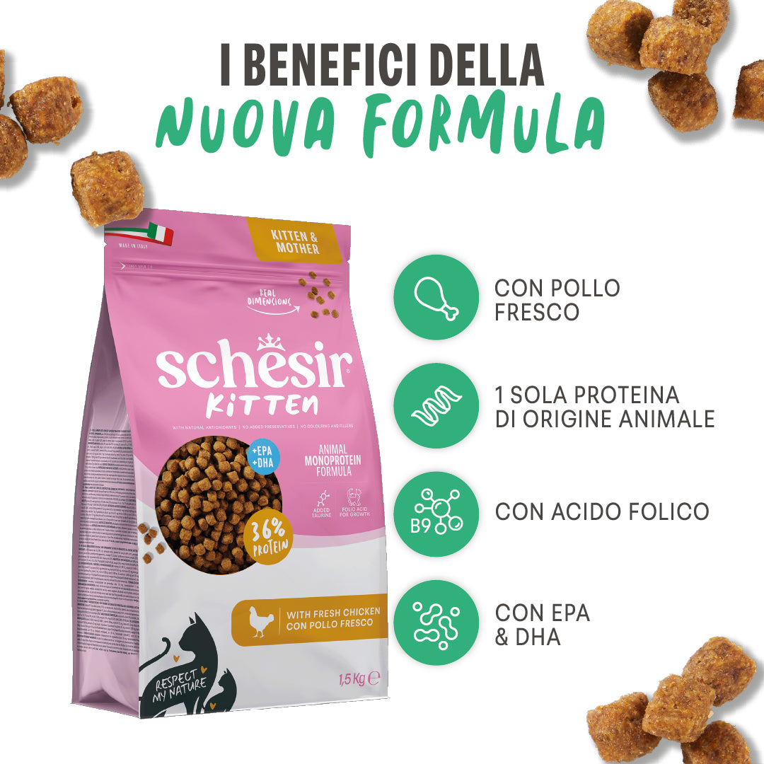 Kitten Pollo 10kg