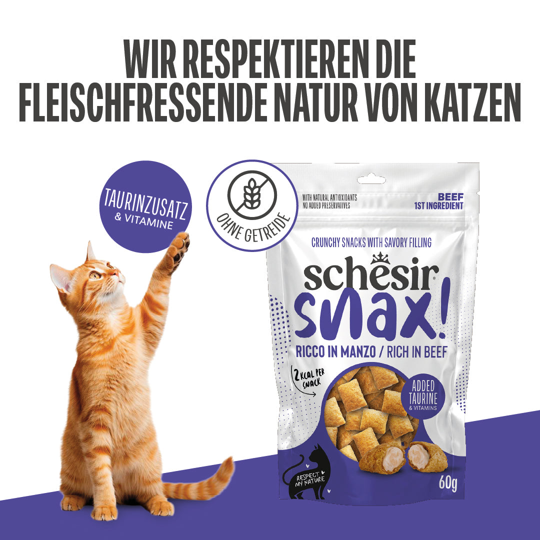 SNAX! RICO EN VACUNO EN BOLSITA