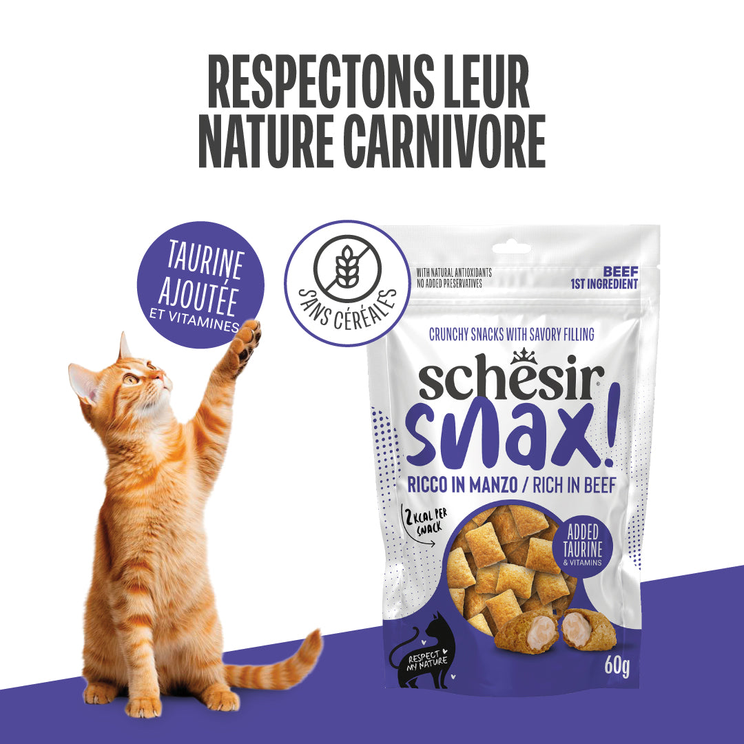 SNAX! RICHE EN  BOEUF EN SACHET