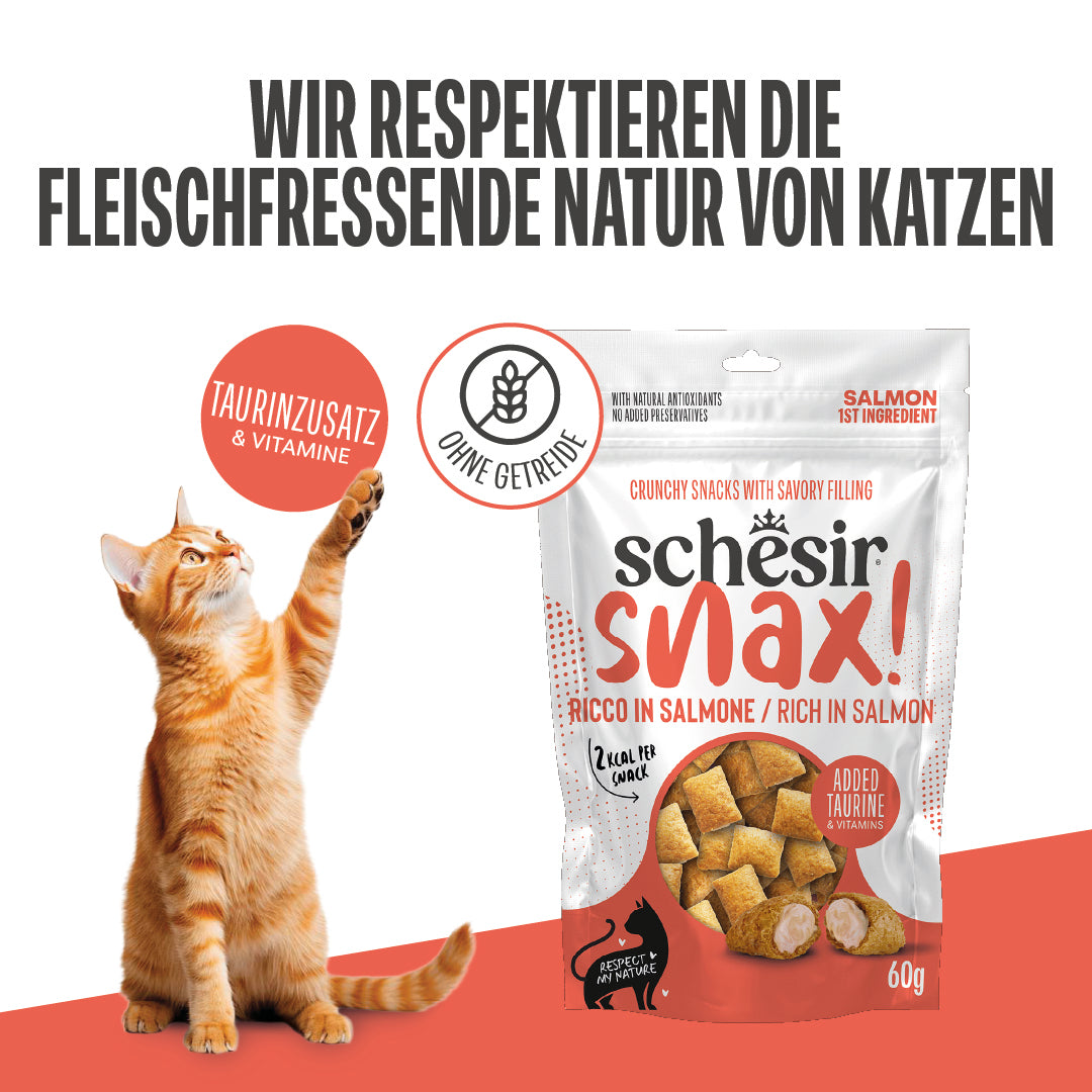SNAX! RICO EN SALMÒN EN BOLSITA