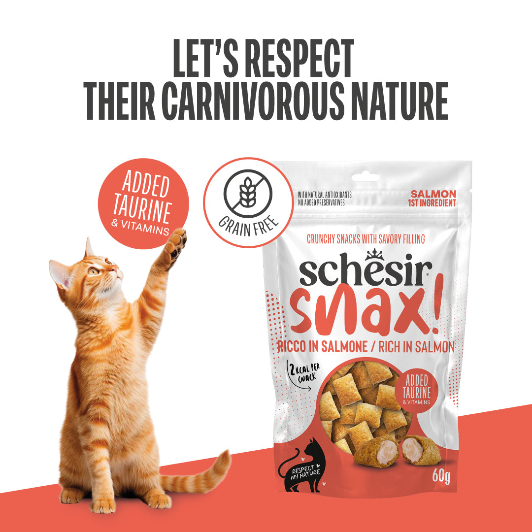 SNAX! RICH IN SALMON IN POUCH