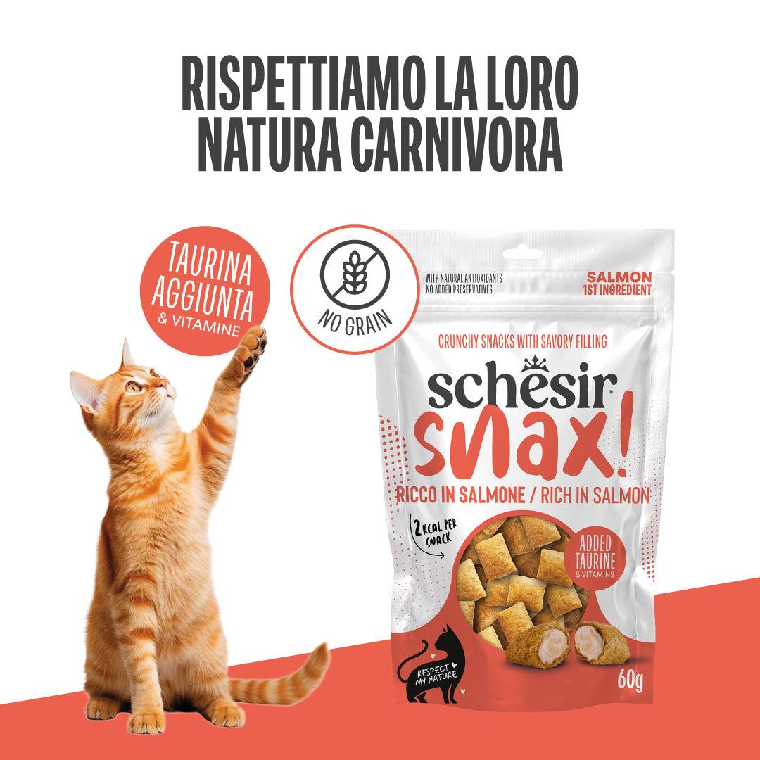 SNAX! RICCO IN SALMONE IN BUSTA