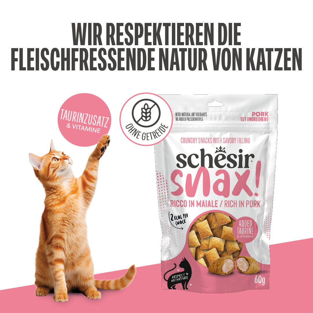 SNAX! RICO EN CERDO EN BOLSITA