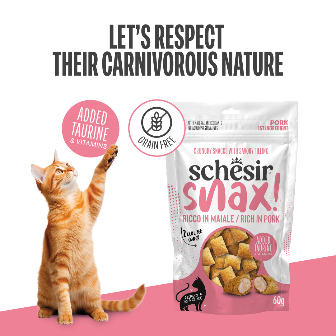 SNAX! RICH IN PORK IN POUCH