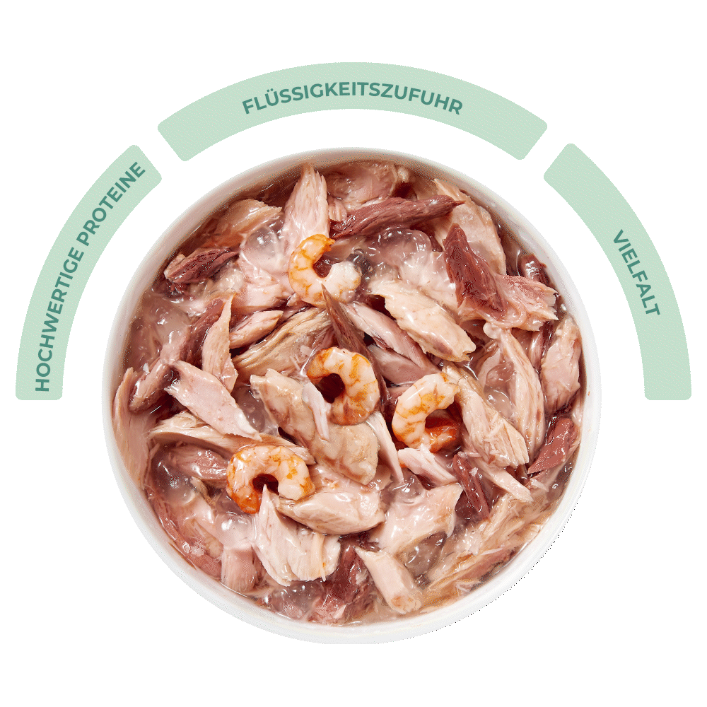 Complete nutrition Schesir Complete nutrition Schesir