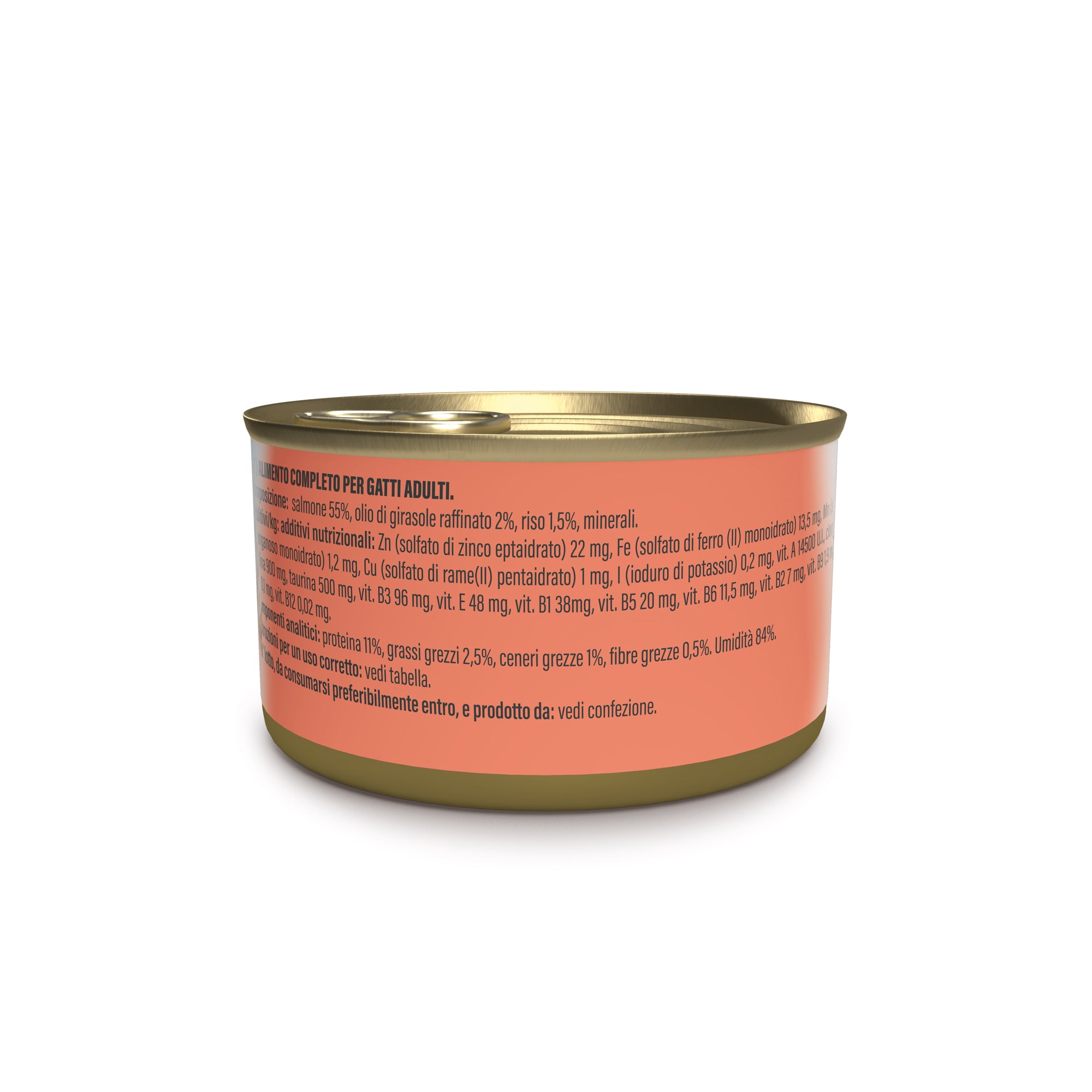 Salmone in brodo