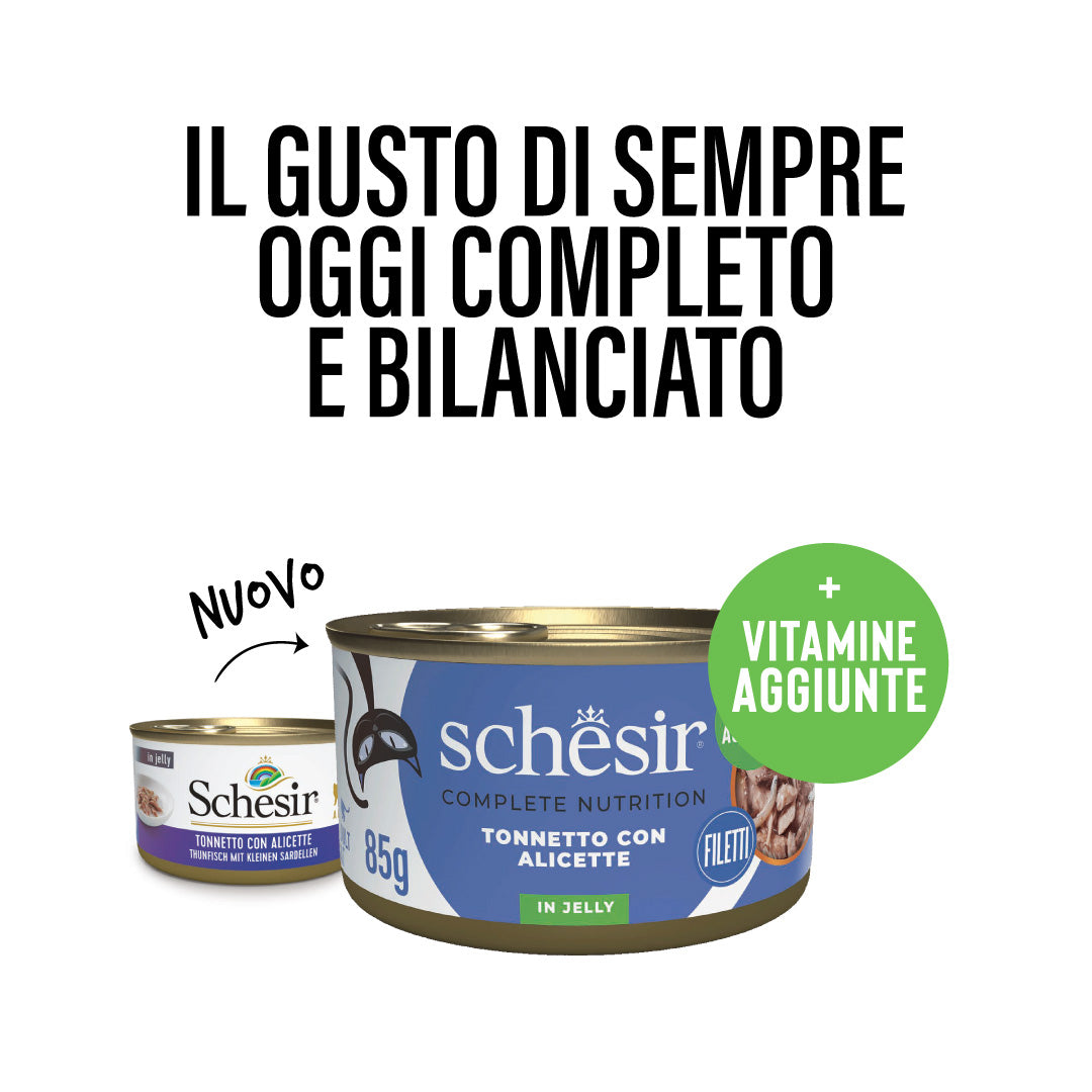 Tonnetto con alicette in gelatina