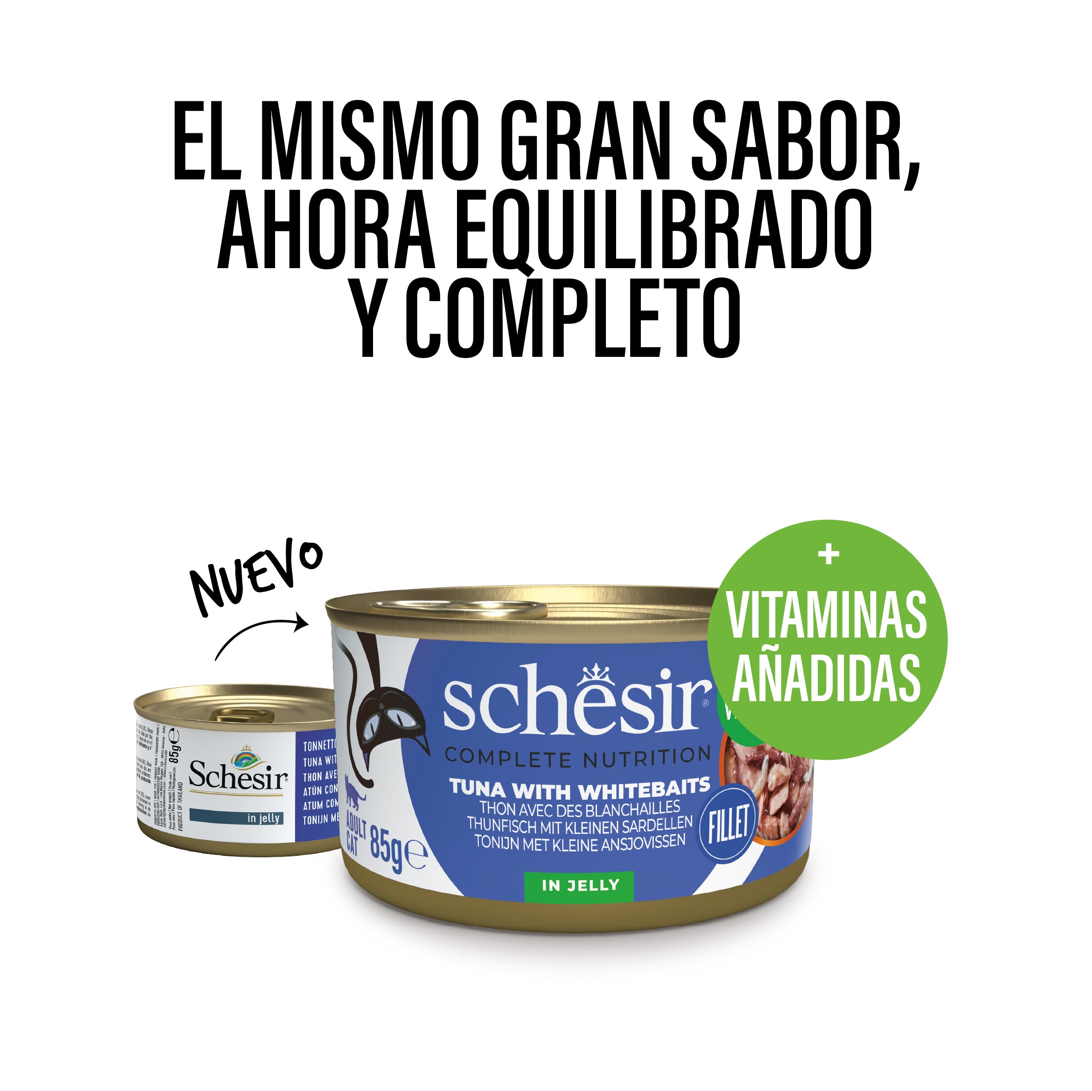 Atuna con anchovetas en gelatina 