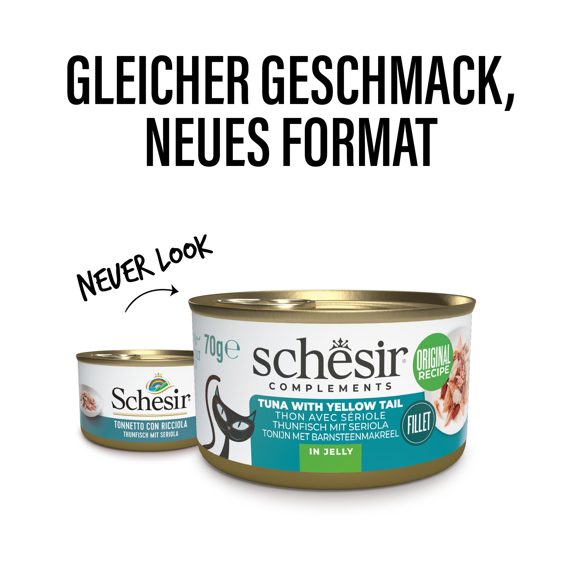 Thunfisch mit Seriola in Gelee 
