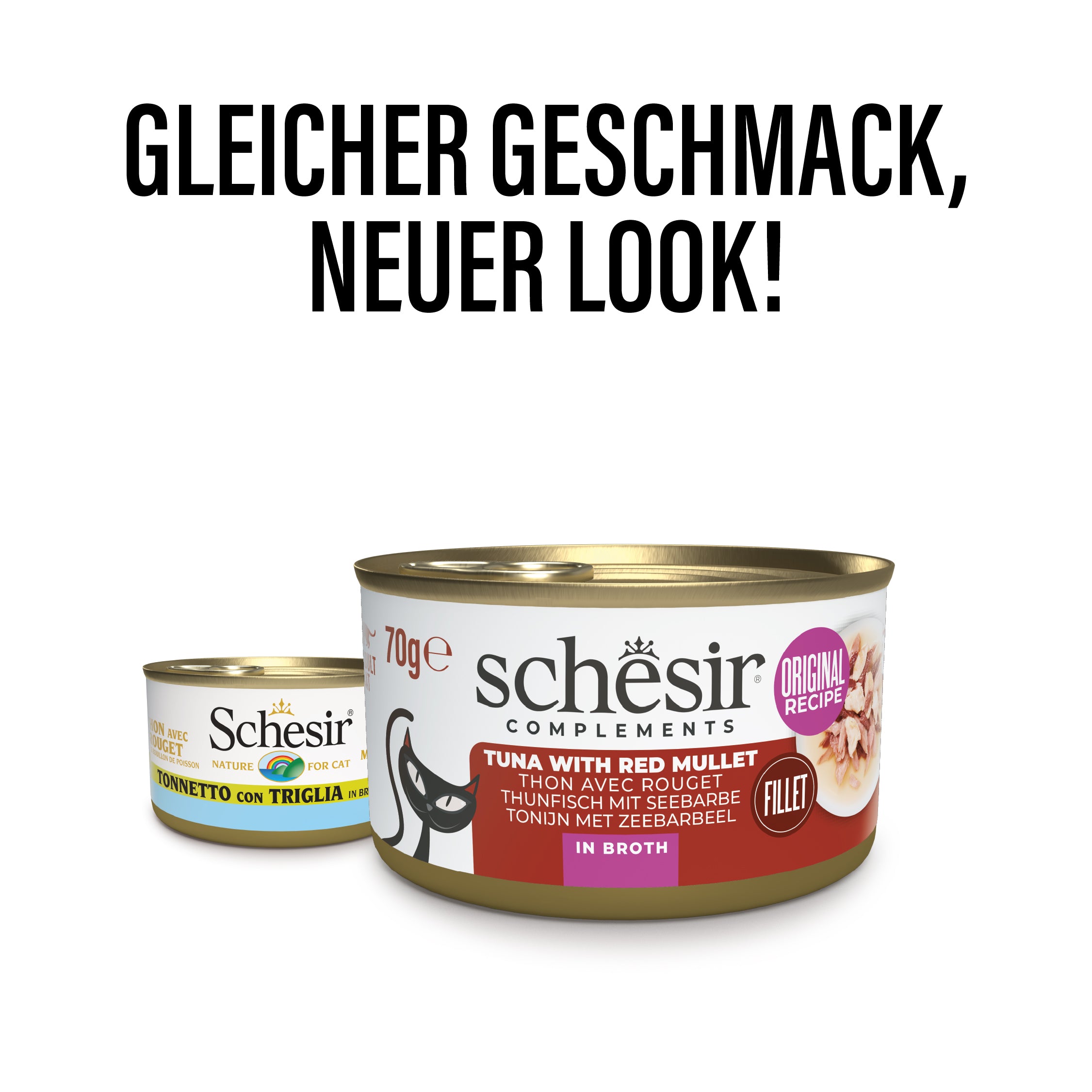 Thunfisch mit Seebarbe in Brühe 