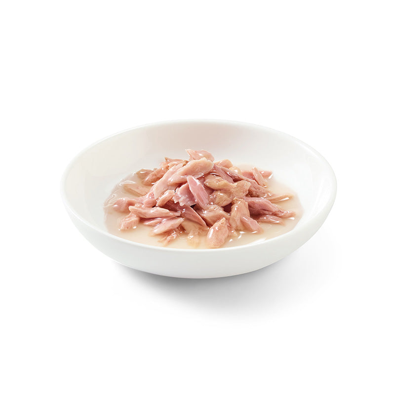 Tonnetto in brodo 70g in lattina