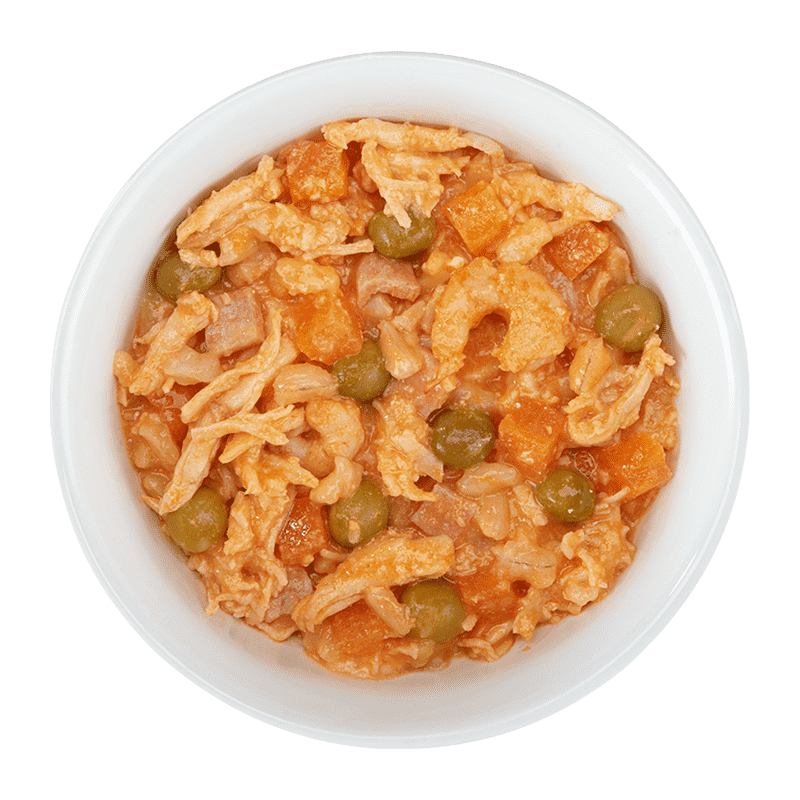 Schesir Dog Taste the World in Broth (8 x 150 g) - Vivapets Schesir Dog Taste the World in Broth (8 x 150 g) - Vivapets